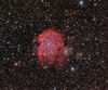 NGC_2175_Monkey_Head_Nebula.jpg